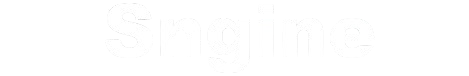 Sngine Logo